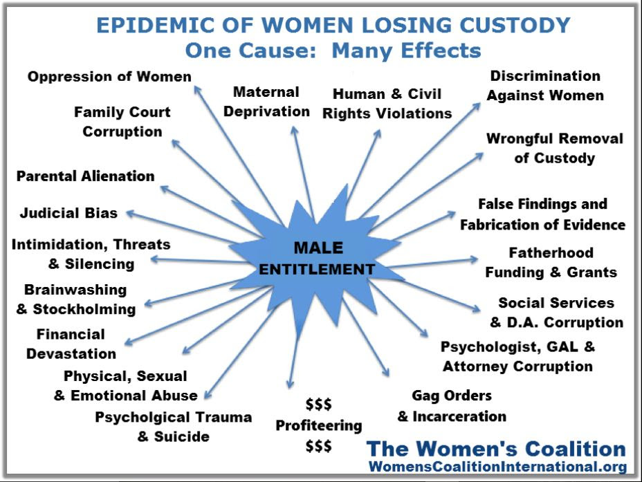 Epidemic of Women Losing Custody of Children, One Cause: Many Effects